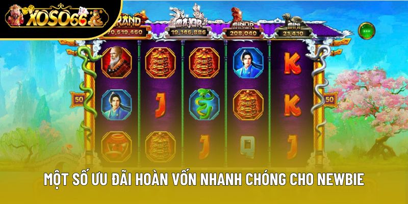 Một số ưu đãi hoàn vốn nhanh chóng cho newbie