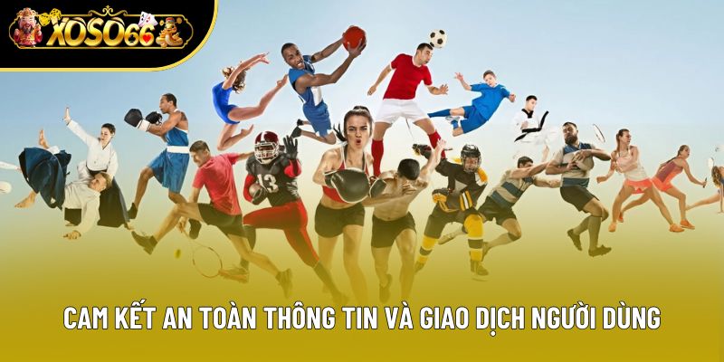 Cam kết an toàn thông tin và giao dịch người dùng