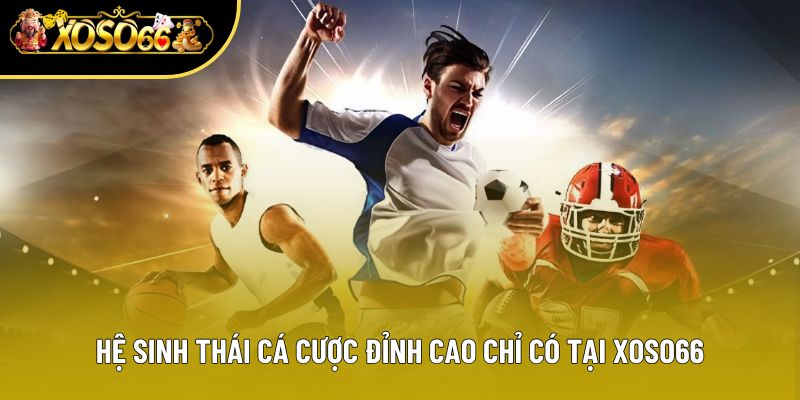 Hệ sinh thái cá cược đỉnh cao chỉ có tại xoso66