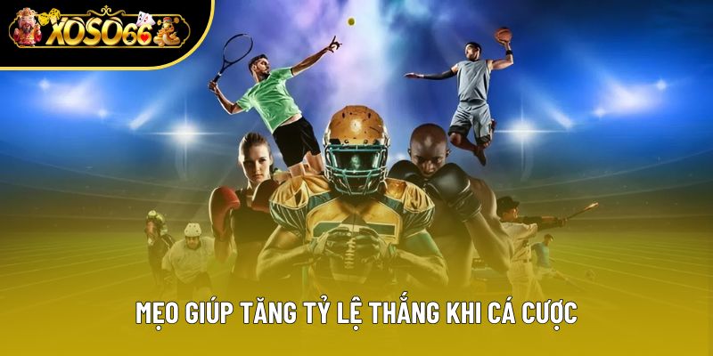 Cách tăng khả năng thắng trong cá cược