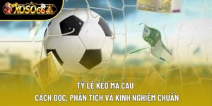 Tỷ lệ kèo Ma Cau